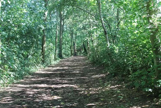 Angelteich Vroonplas