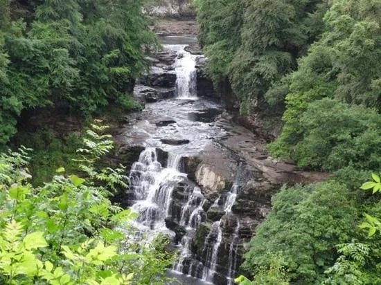 Falls of Clyde Visitor Centre and Wildlife Reserve