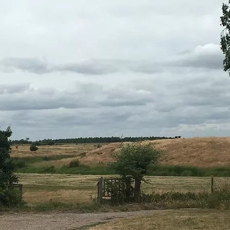 Skanors borg