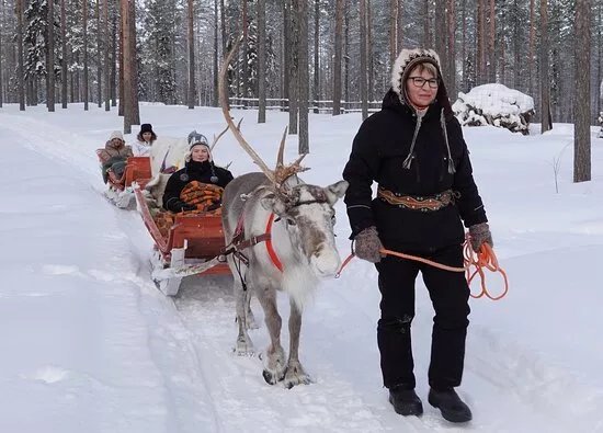 Puolukkamaan Pirtit Reindeer Lake Resort