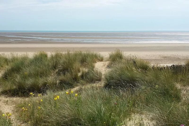 Family & Pet Friendly Home Direct On A Lovely Sandy Beach