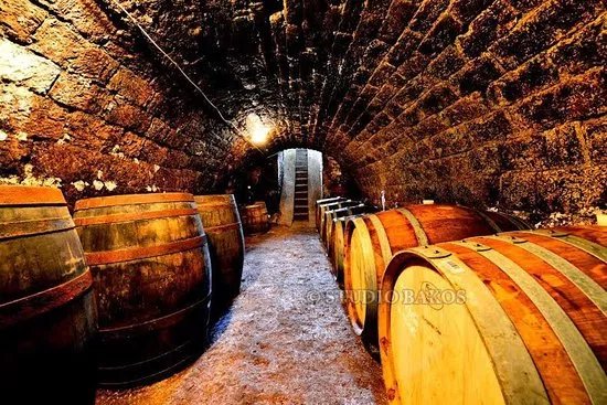 Arvay Family Winery