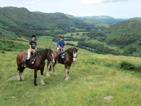 Cumbrian Heavy Horses