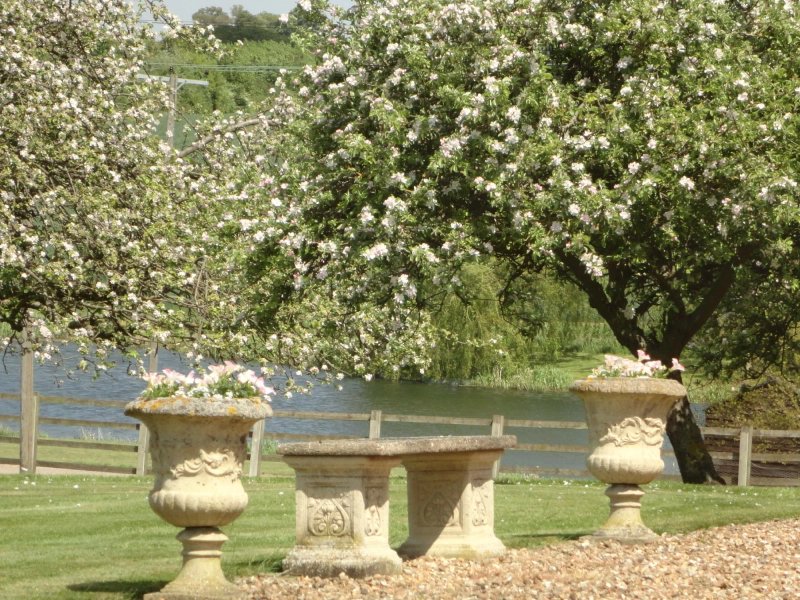 Newton Park Farm Bed and Breakfast
