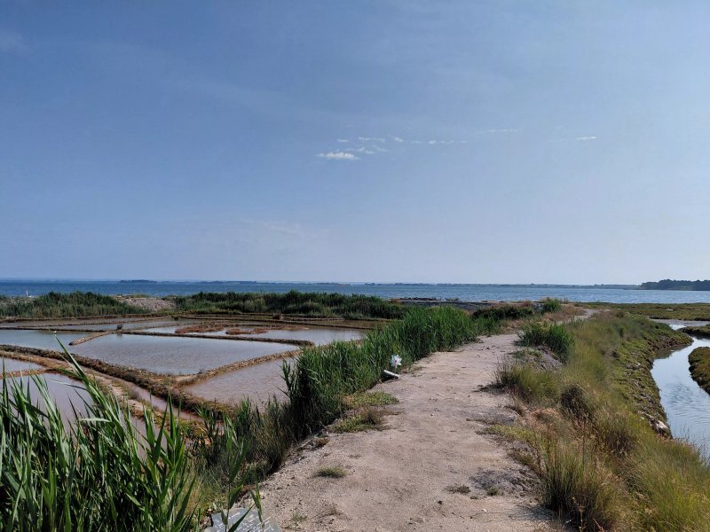 Salines de Truscat