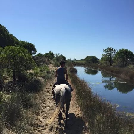 Abrivado Ranch