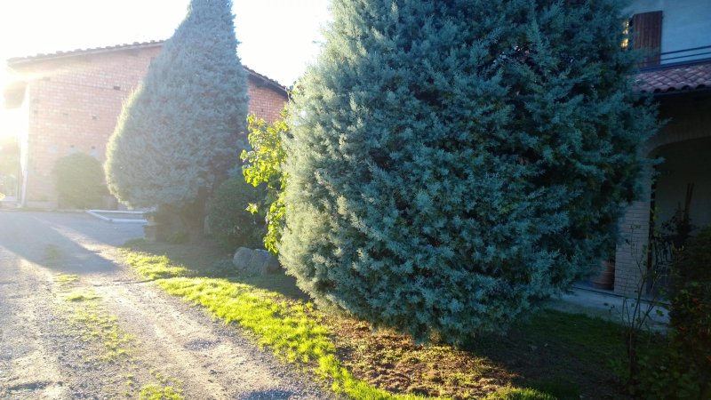 Ristorante Al Passatempo