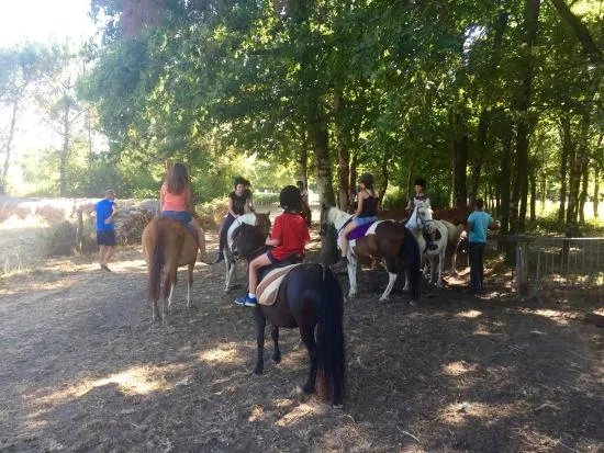 La Ferme Aux Chevaux