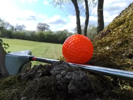 Swin Golf De La Roche
