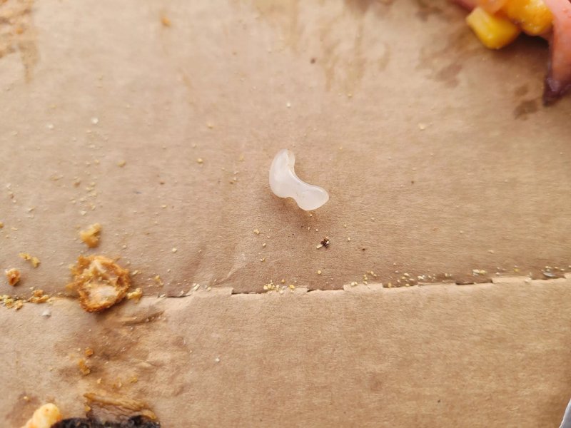 Domino's Pizza - Maidstone - Loose