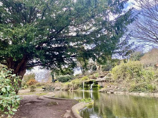 Green Bristol: Urban Nature Walking Tour