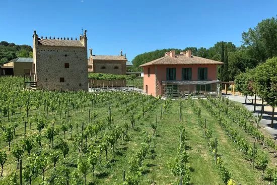 Bodega Senorio de Arinzano