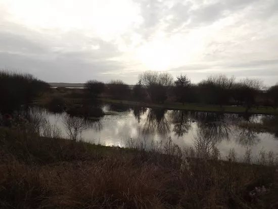 Marsh Water Ponds