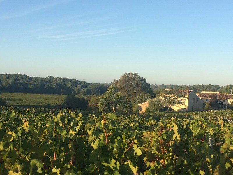 Clos Vieux Rochers