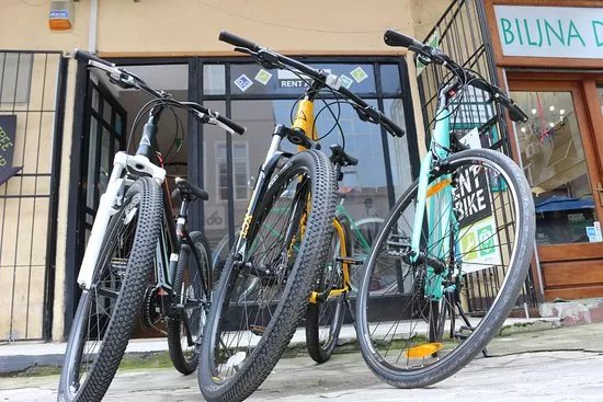 Pedaloo
