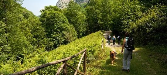 Tasting Campania Day Tours
