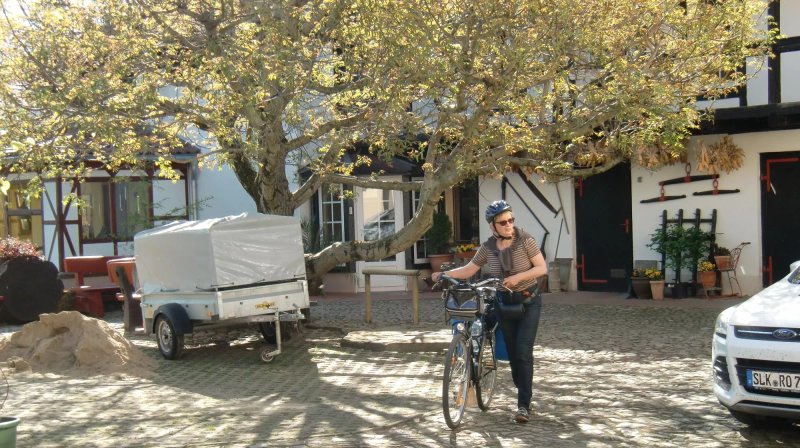Hotel Garni & Oma's Heuhotell Pension Zur Galerie