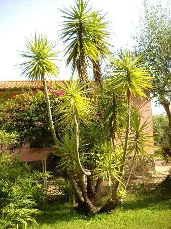 B&B Granja Rosa