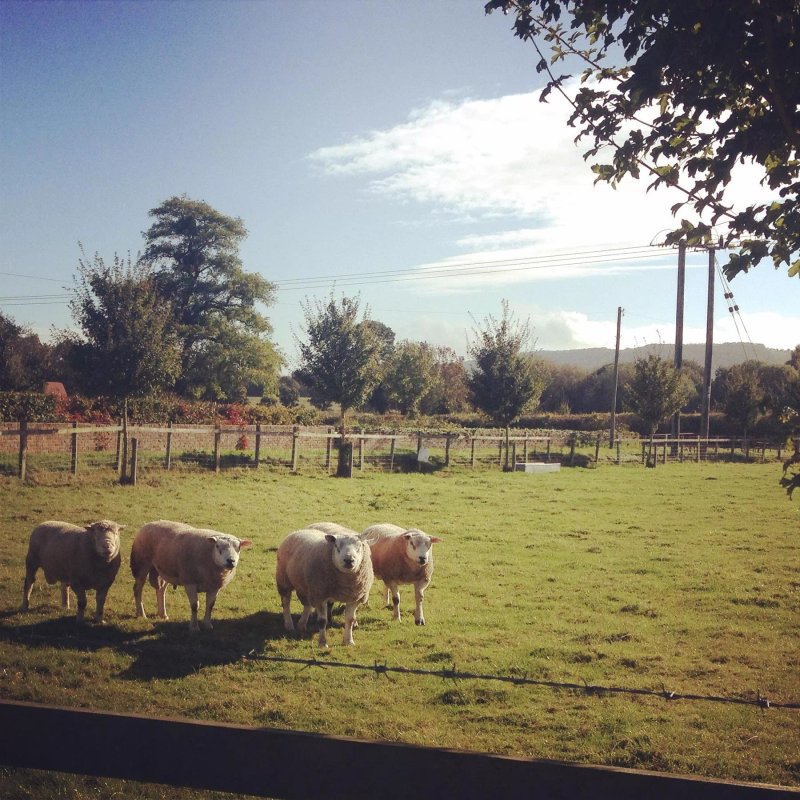 Waterend Farm