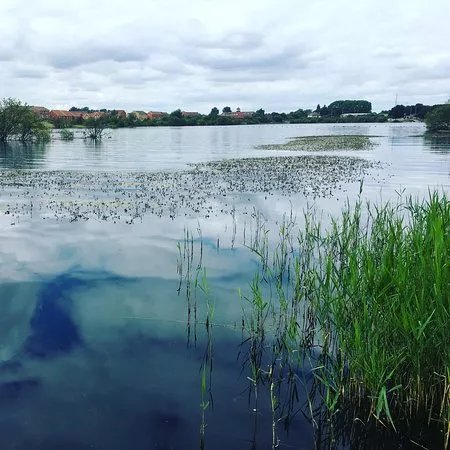 Ashby Ville Nature Reserve