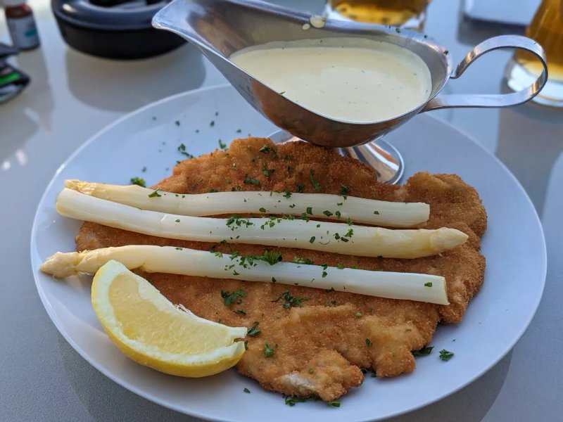 Hegaustern
