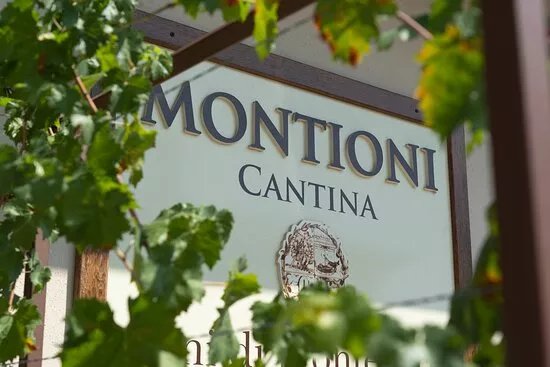 Montioni - Frantoio & Cantina