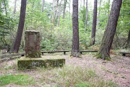 Rezerwat Chelmowa Gora