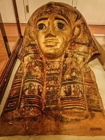 Petrie Museum of Egyptian Archaeology