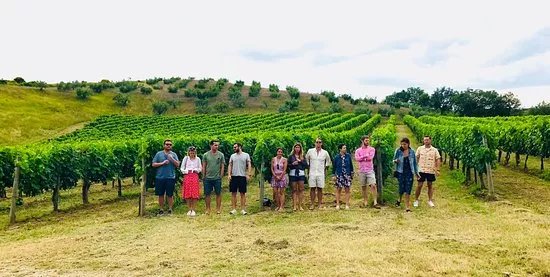 Tours of Tuscany