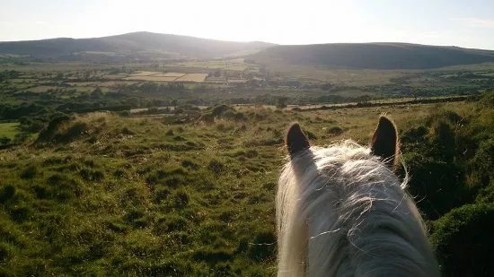 Preseli Pony Trekking