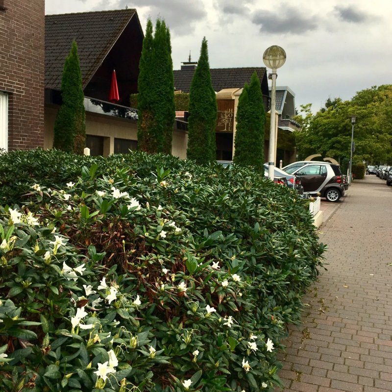 Villa am Park