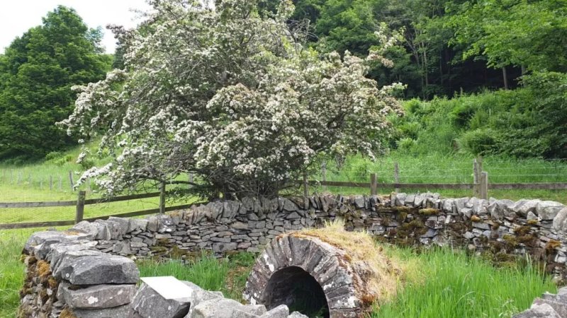Our Lady's Well