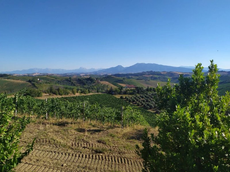 Casali Costadoro