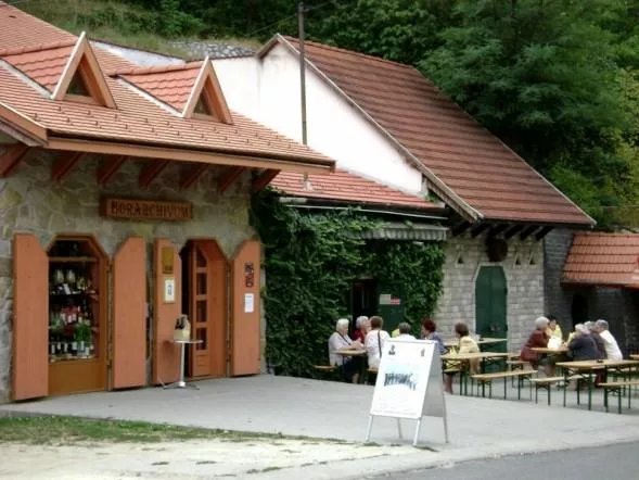 Dobo Guesthouse