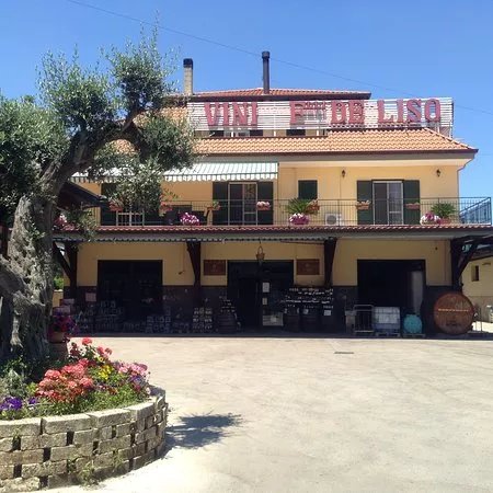 Vinicola Fior di Vino di De Liso