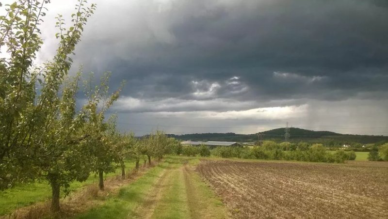 Purple Plum Glamping