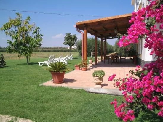 Azienda Agricola I Caselli