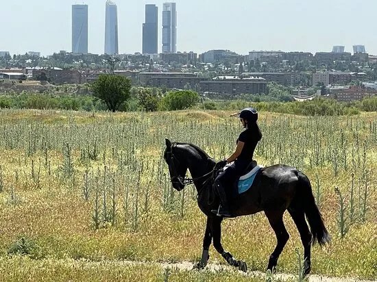 EMY HORSE S.L.