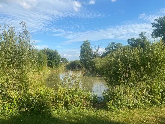 Commonwood Fishery