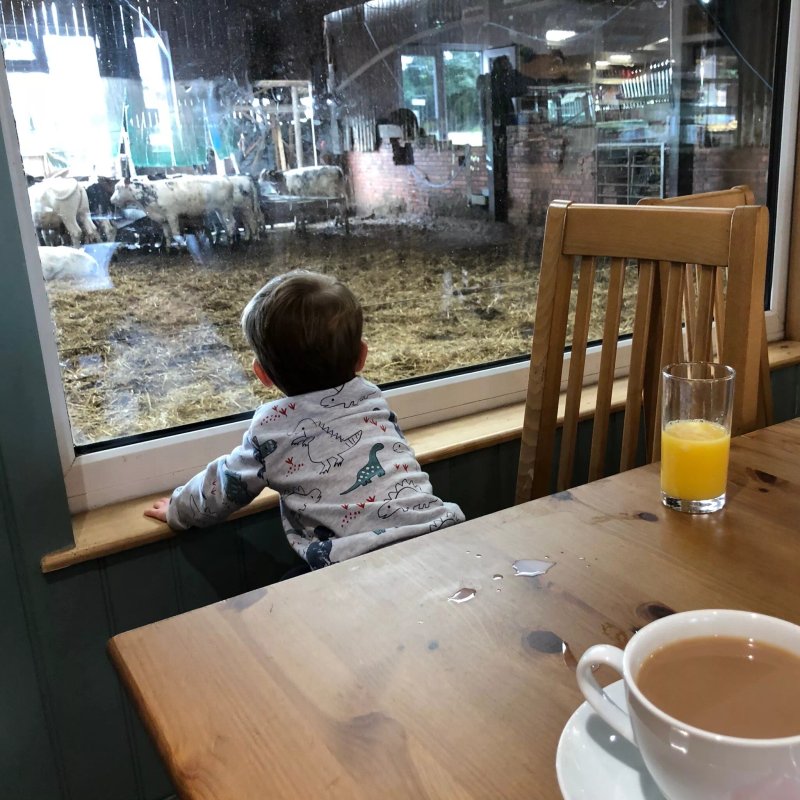 Cow Shed Cafe