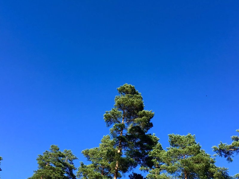 Hovimaki Camping & Cottages