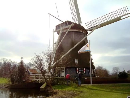 Riekermolen
