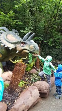 Dan Yr Ogof