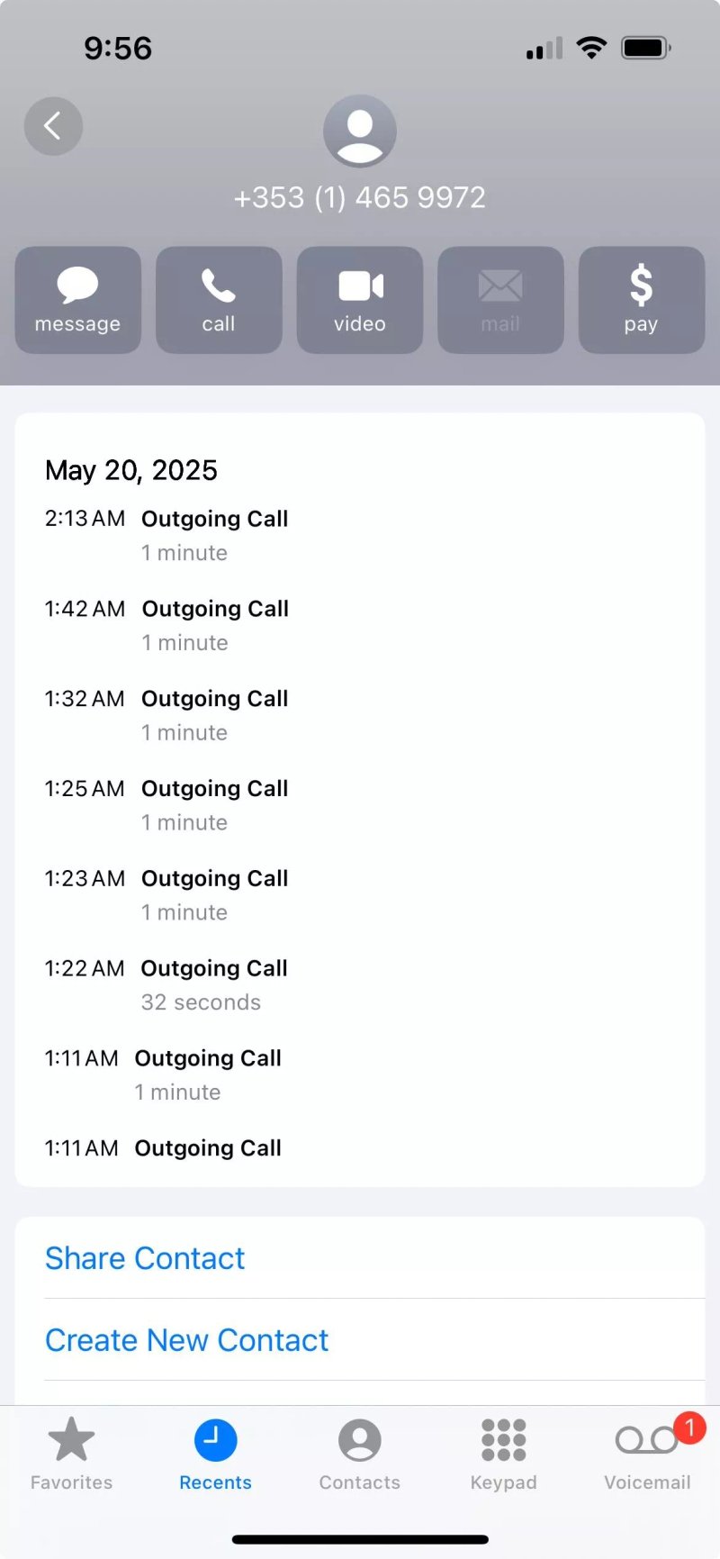Big Green Bus