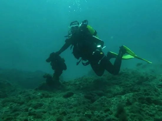 Dossotaigua Dive Center