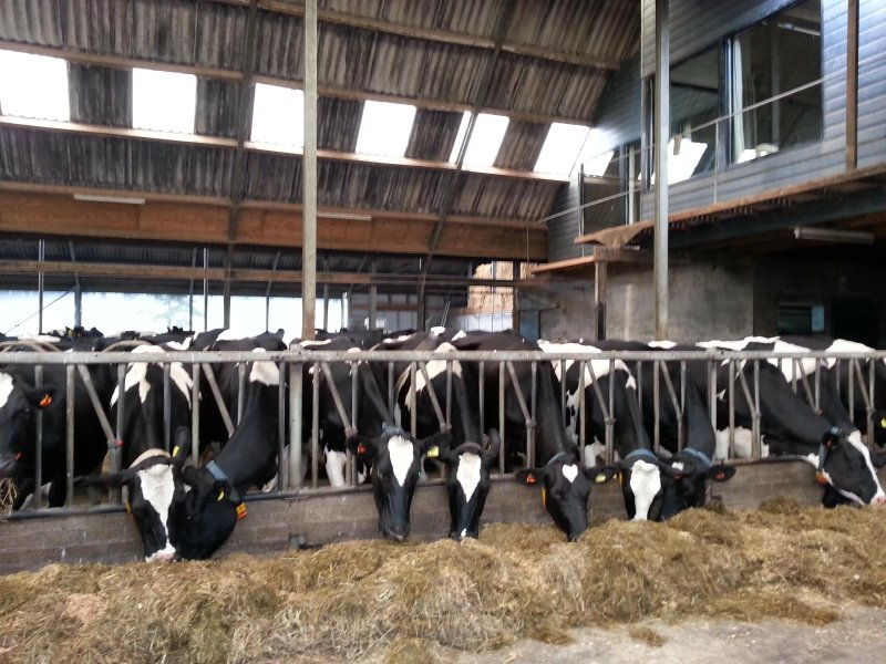 Boerderij Eben Haezer