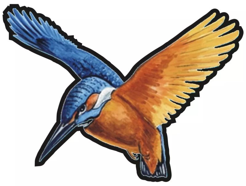 Kingfisher Southchurch