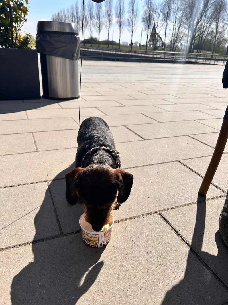 Eiscafe Gelato
