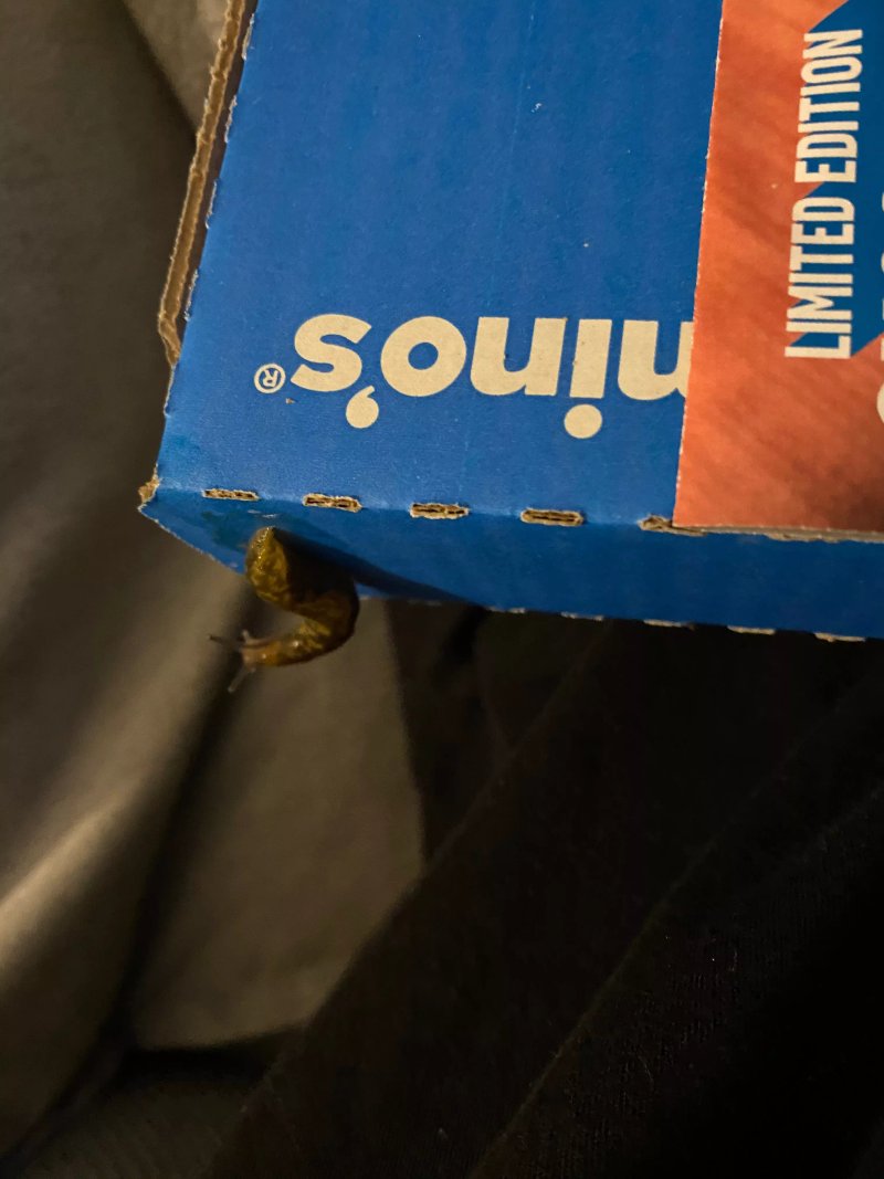 Domino's Pizza - Glasgow - Newton Mearns