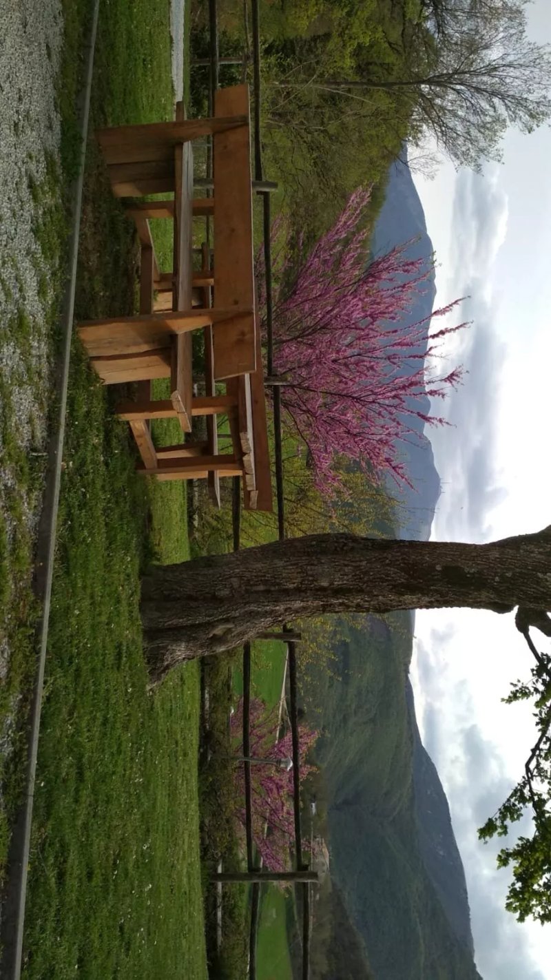 Guest house Agriturismo i Conti
